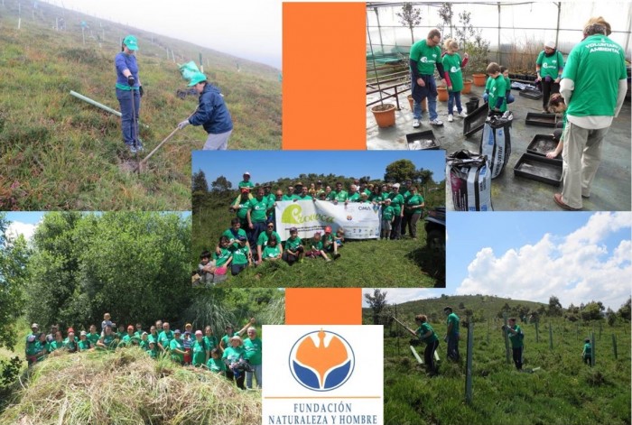 Nueve acciones de voluntariado ambiental realizadas con PROVOCA en 2014