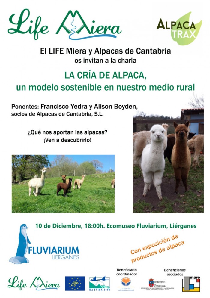 El LIFE Miera te presenta a las alpacas de la tierruca Próxima charla del LIFE Miera