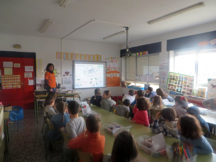 Unos 250 estudiantes de los colegios de Cantabria visitan las Reservas Educativas del Anillo Verde de la Bahía de Santander Los alumnos del colegio Pedro Velarde inmersos en el taller de educación ambiental.