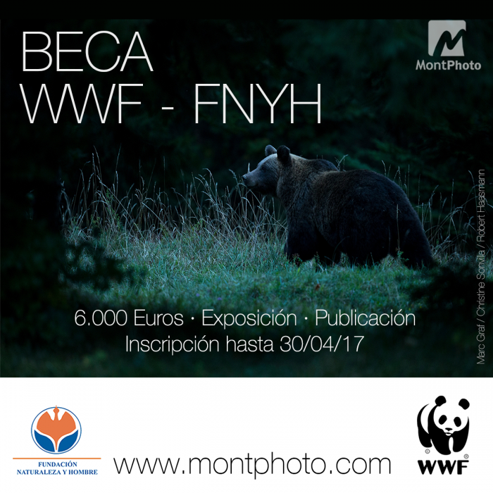 Nos unimos con WWF para entregar beca de conservación MontPhoto 2017 Beca Concurso Fotográfico Montphoto 2017