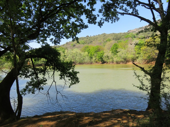 Actividad PROVOCA: eliminación de plumero en Pozos de Valcaba Una de las lagunas de los Pozos de Valcaba