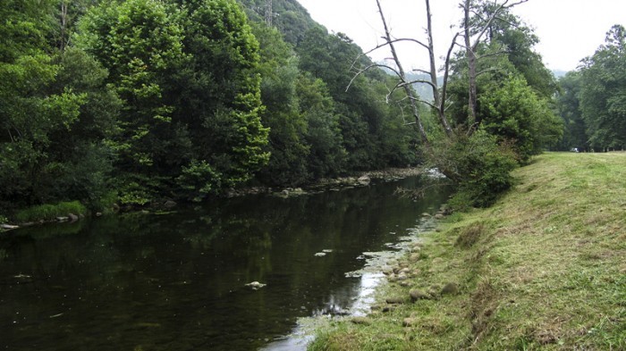 Vecinos de Ceceñas protectores de caballitos del diablo y ciervos volantes Río Miera La Regata, ZEC Río Miera