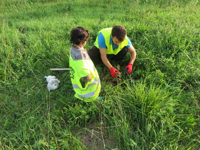 La RSC acerca a las empresas el Anillo Verde de la Bahía de Santander Voluntariado Ambiental en Pozón de la Yesera_Anillo Verde Bahia de Santander