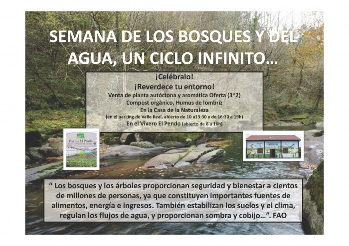 En el Día Internacional de los Bosques elige tus plantas autóctonas Celebremos los Días Internacionales de Bosques y del Agua, 21 y 22 de marzo, poniendo verde tu entorno