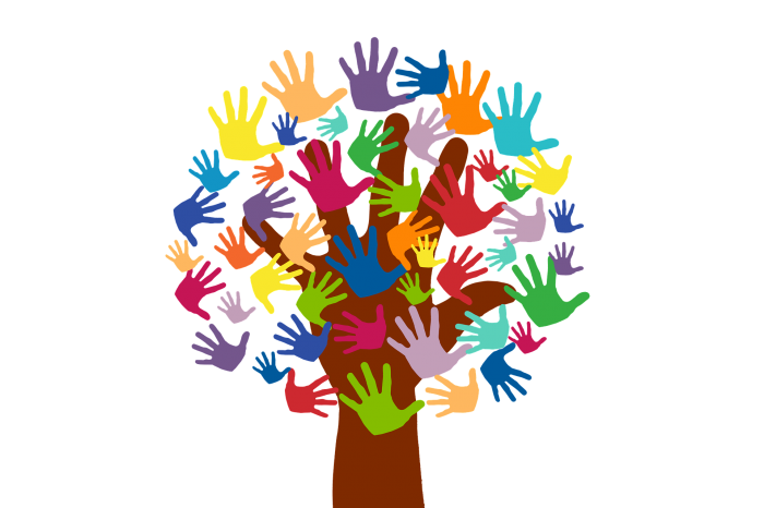 FNYH con el surgimiento de un Cuerpo Europeo de Solidaridad Servicio de Voluntariado Europeo SVE, programa Erasmus+