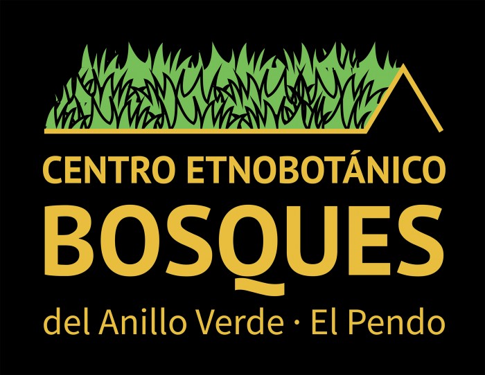 Presentamos la programación trimestral de talleres de FNYH