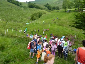 educacionambiental
