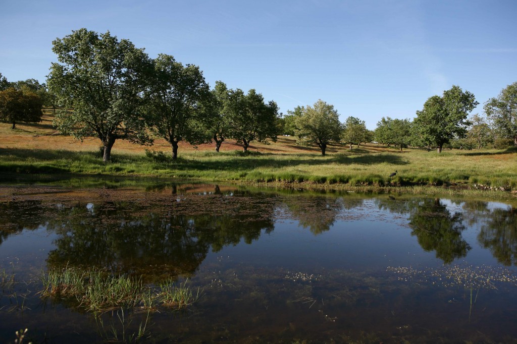 Humedales en España Fundación Naturaleza y Hombre