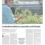 Producción de Woodwardia radicans en el vivero El Pendo (Parte 2)