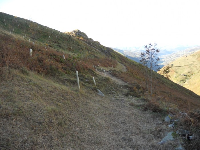 FNYH abre cortafuegos silvopastorales para prevenir incendios en el marco de la Recuperación Forestal de la Montaña Pasiega cortafuegos en la Montaña Pasiega