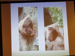 Imágenes de excremento de nutria en una roca