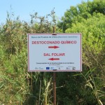 Carteles informativos del banco de pruebas para la eliminación de la chilca en la Ría de Cubas