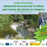 Jornada Informativa adaptación de presas del río Miera para el paso del salmón en Liérganes