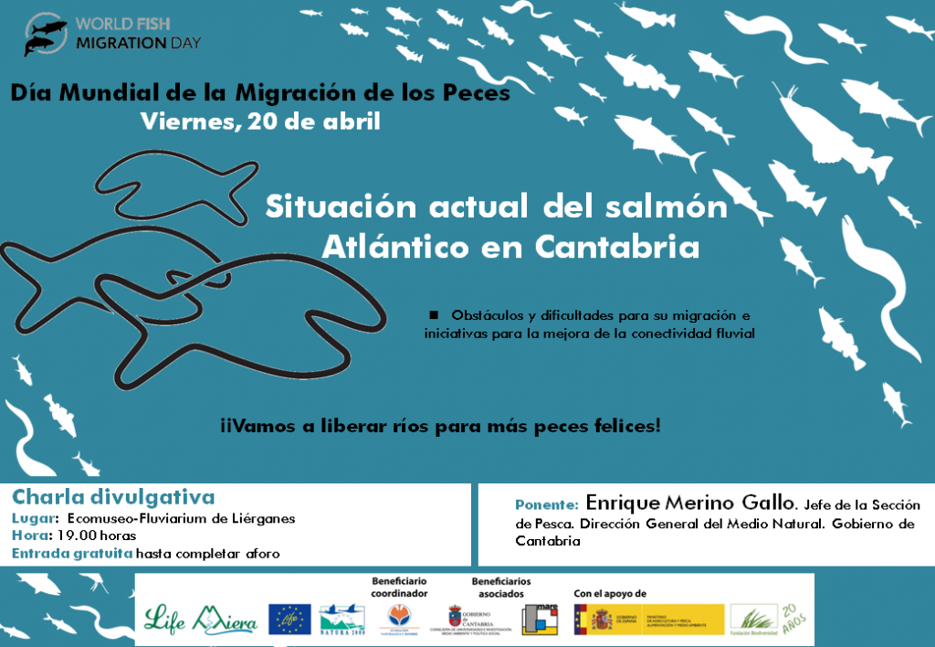 Charla viernes 20 abril "Situación actual del salmón atlántico en Cantabria" a cargo de Enrique Merino Gallo del Gob.Cantabria en ecomuseo Fluviarium