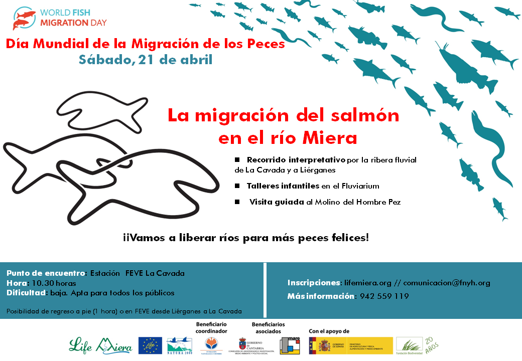 Ruta guiada, talleres y visita del molino fluvial de Liérganes para celebrar Día Mundial Migración Peces 2018