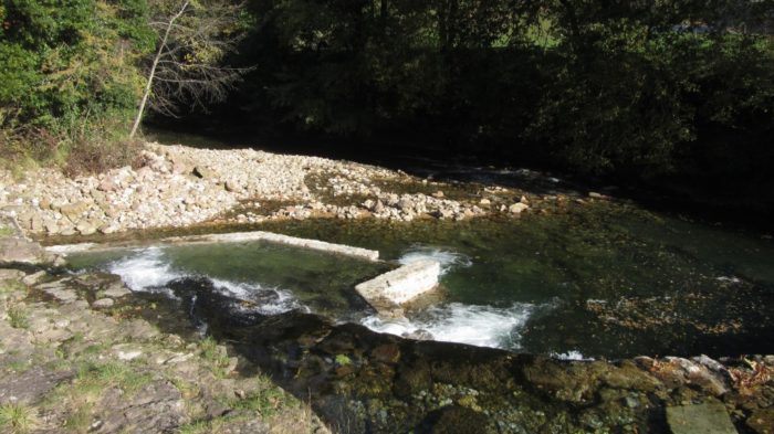 Continúan las actuaciones de conservación en la cuenca del río Miera llevadas a cabo por Fundación Naturaleza y Hombre y con el apoyo de Fundación Biodiversidad del Ministerio para la Transición Ecológica